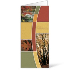 Fall Trees 11 x 17 Bulletins