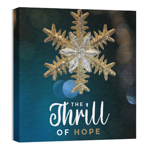 Thrill Of Hope 24 x 24 Canvas Prints