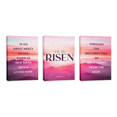 Risen Pink Sunrise Triptych 