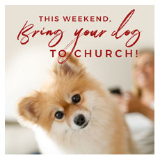Bring Your Dog To Church 