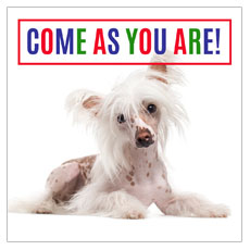 Come As You Are Dog 